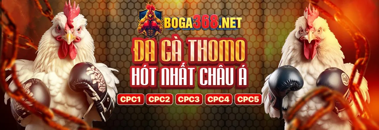 Đá Gà Trực Tuyến b29 ios